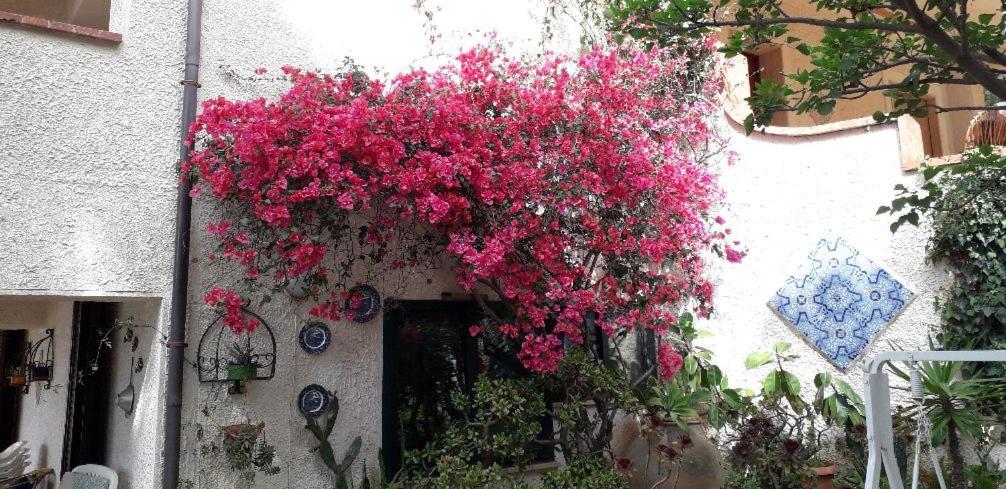 Holiday Home Cala Bianca Castellammare del Golfo Exterior foto